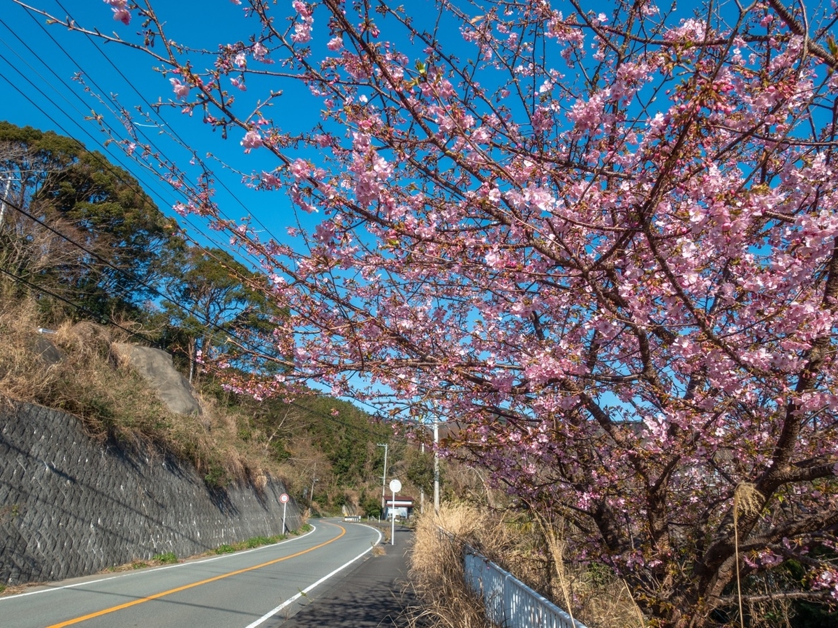 f:id:saetta0404:20200209215421j:plain f:id:saetta0404:20200209215421j:plain