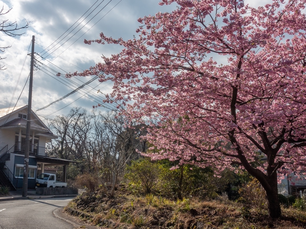 f:id:saetta0404:20200209215929j:plain f:id:saetta0404:20200209215929j:plain