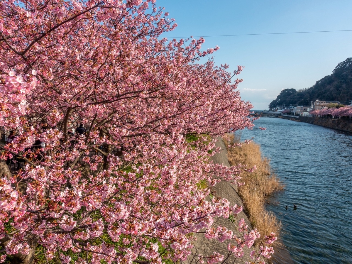 f:id:saetta0404:20200209220143j:plain f:id:saetta0404:20200209220143j:plain