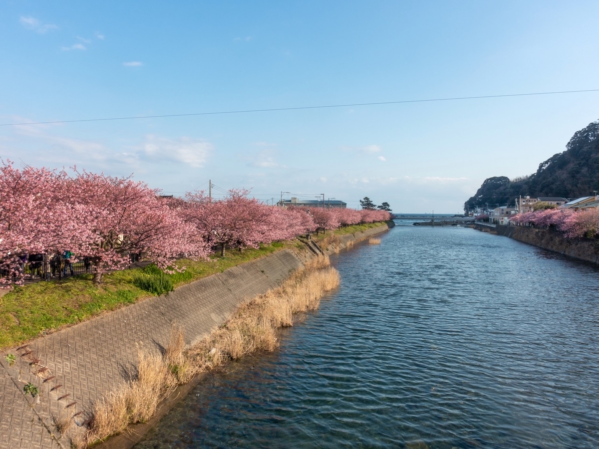 f:id:saetta0404:20200209220209j:plain f:id:saetta0404:20200209220209j:plain