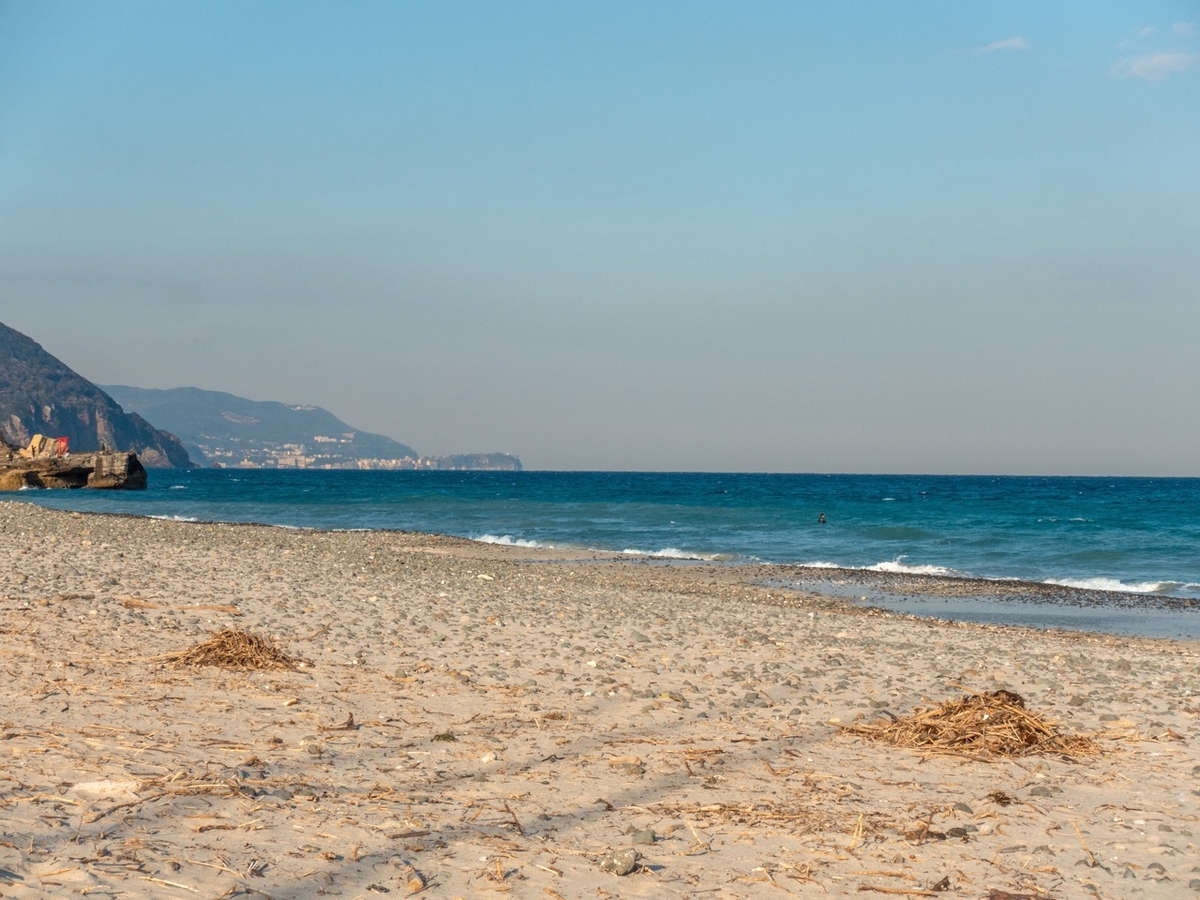 f:id:saetta0404:20200209220402j:plain