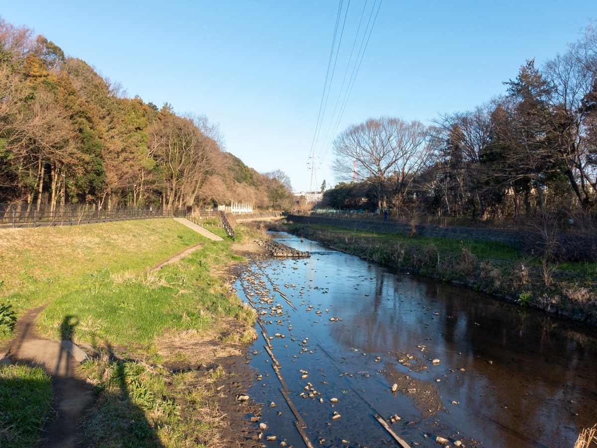 f:id:saetta0404:20200306071220j:plain