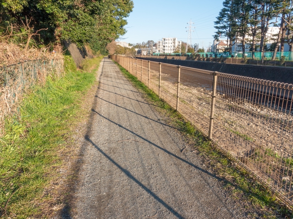 f:id:saetta0404:20200306071627j:plain