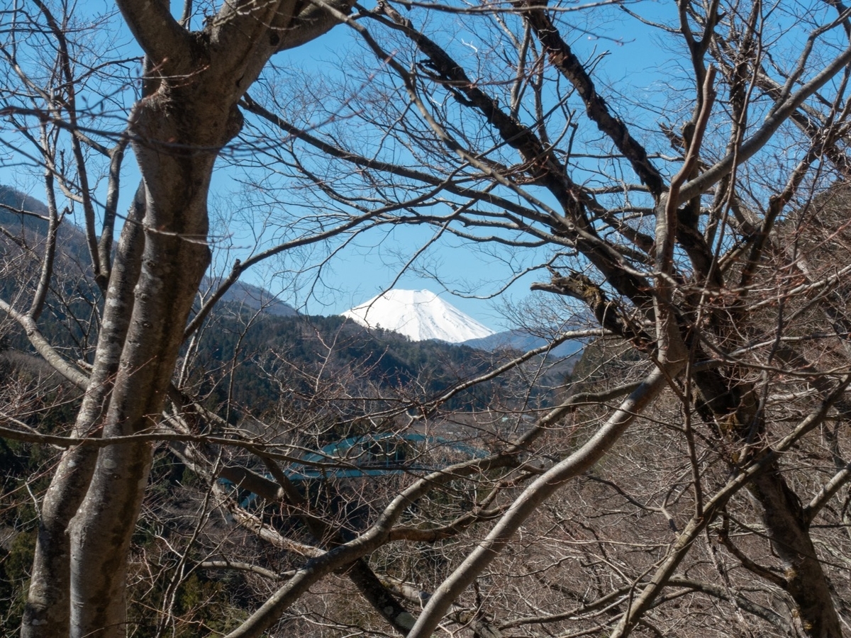 f:id:saetta0404:20200306110414j:plain