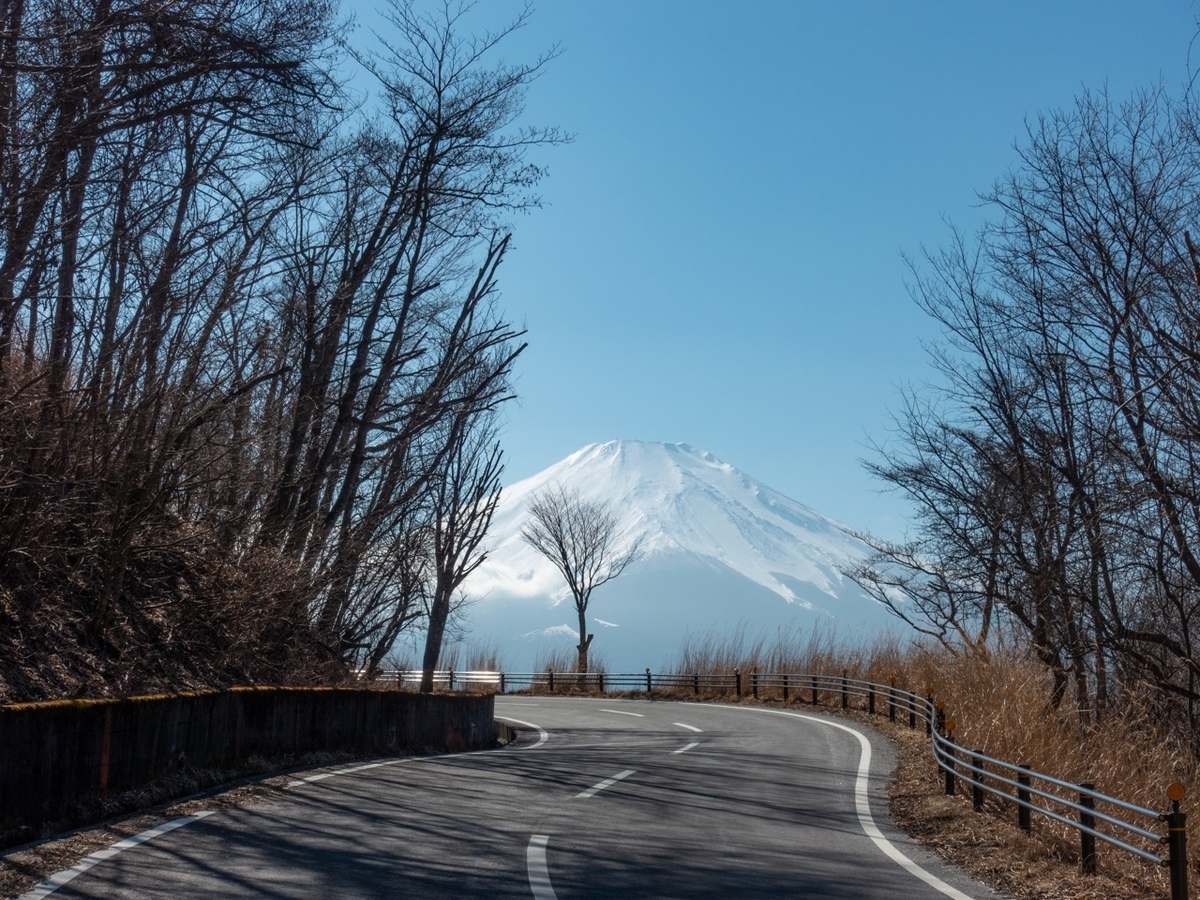 f:id:saetta0404:20200306142208j:plain