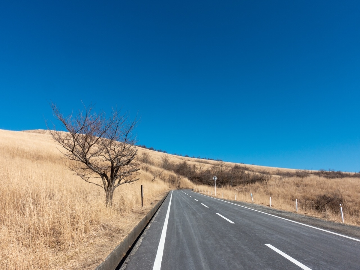 f:id:saetta0404:20200306142441j:plain