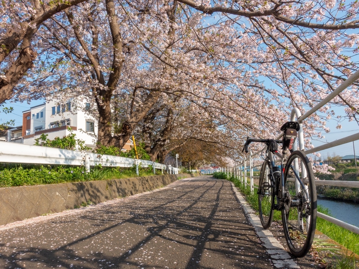 f:id:saetta0404:20200408203539j:plain f:id:saetta0404:20200408203539j:plain