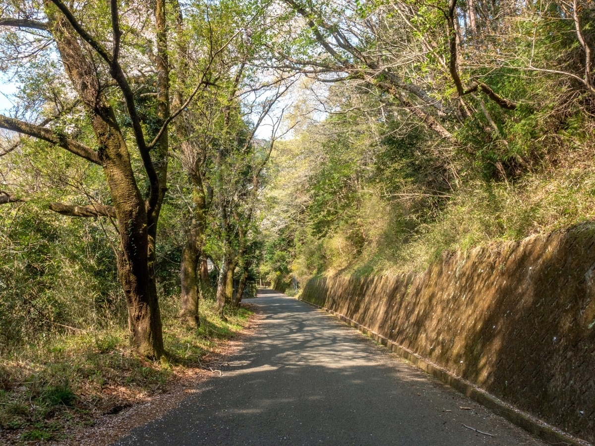 f:id:saetta0404:20200408203644j:plain f:id:saetta0404:20200408203644j:plain