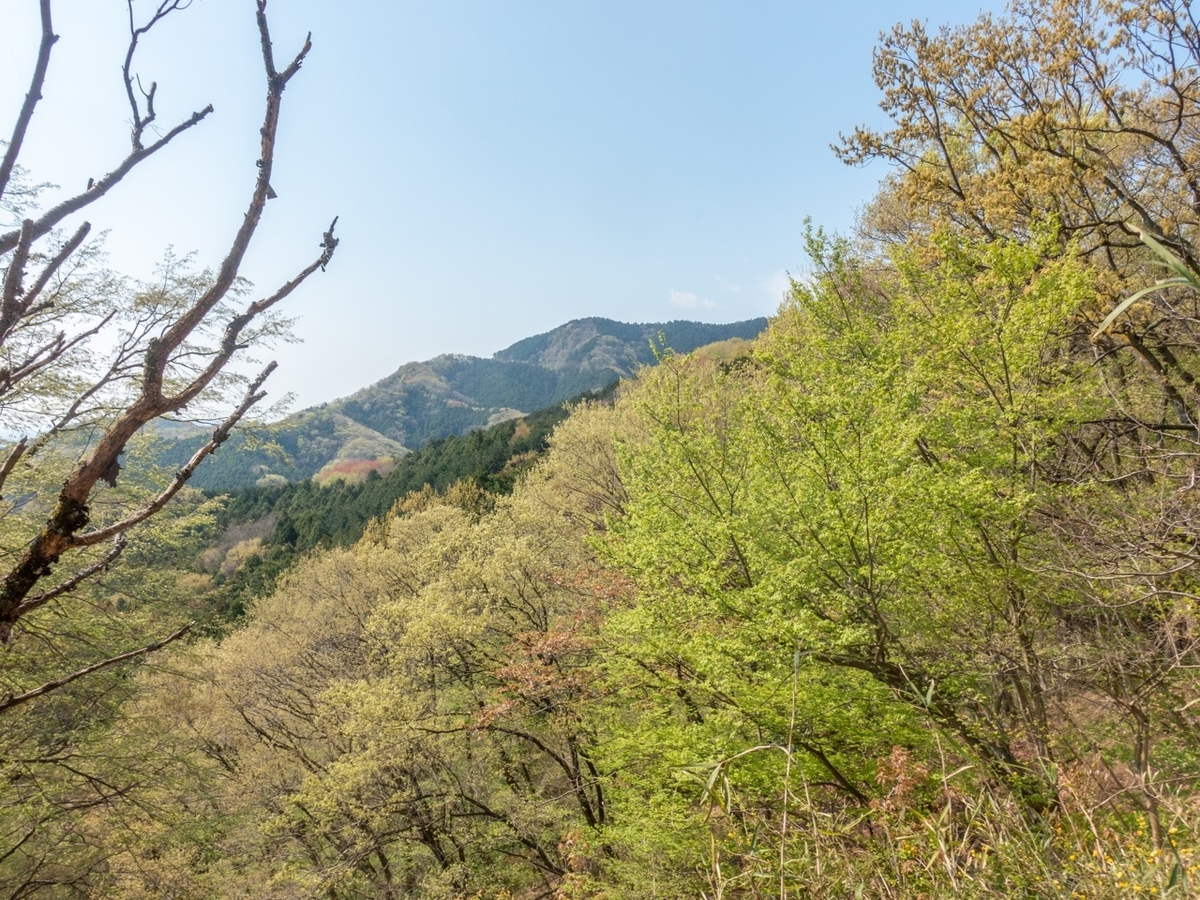 f:id:saetta0404:20200408203705j:plain f:id:saetta0404:20200408203705j:plain