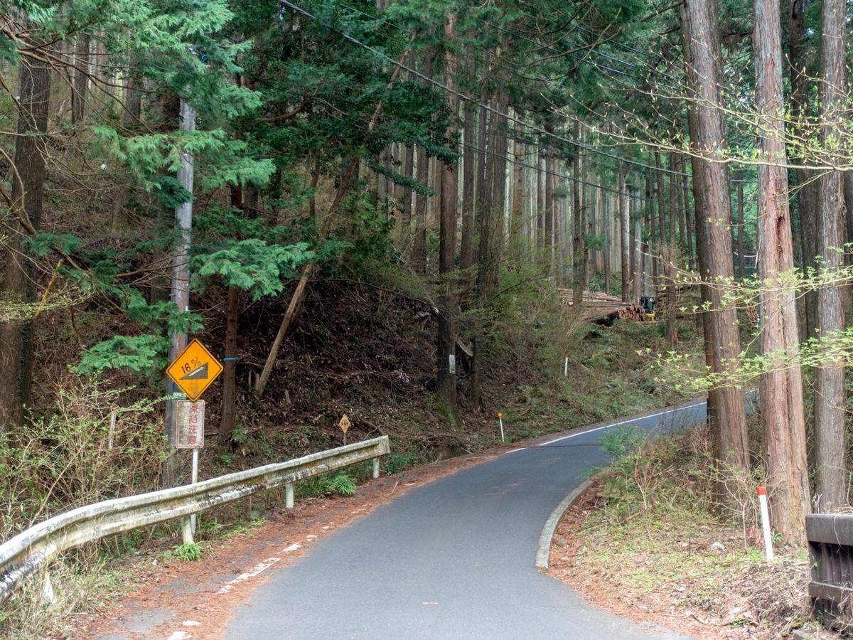 f:id:saetta0404:20200408203752j:plain f:id:saetta0404:20200408203752j:plain