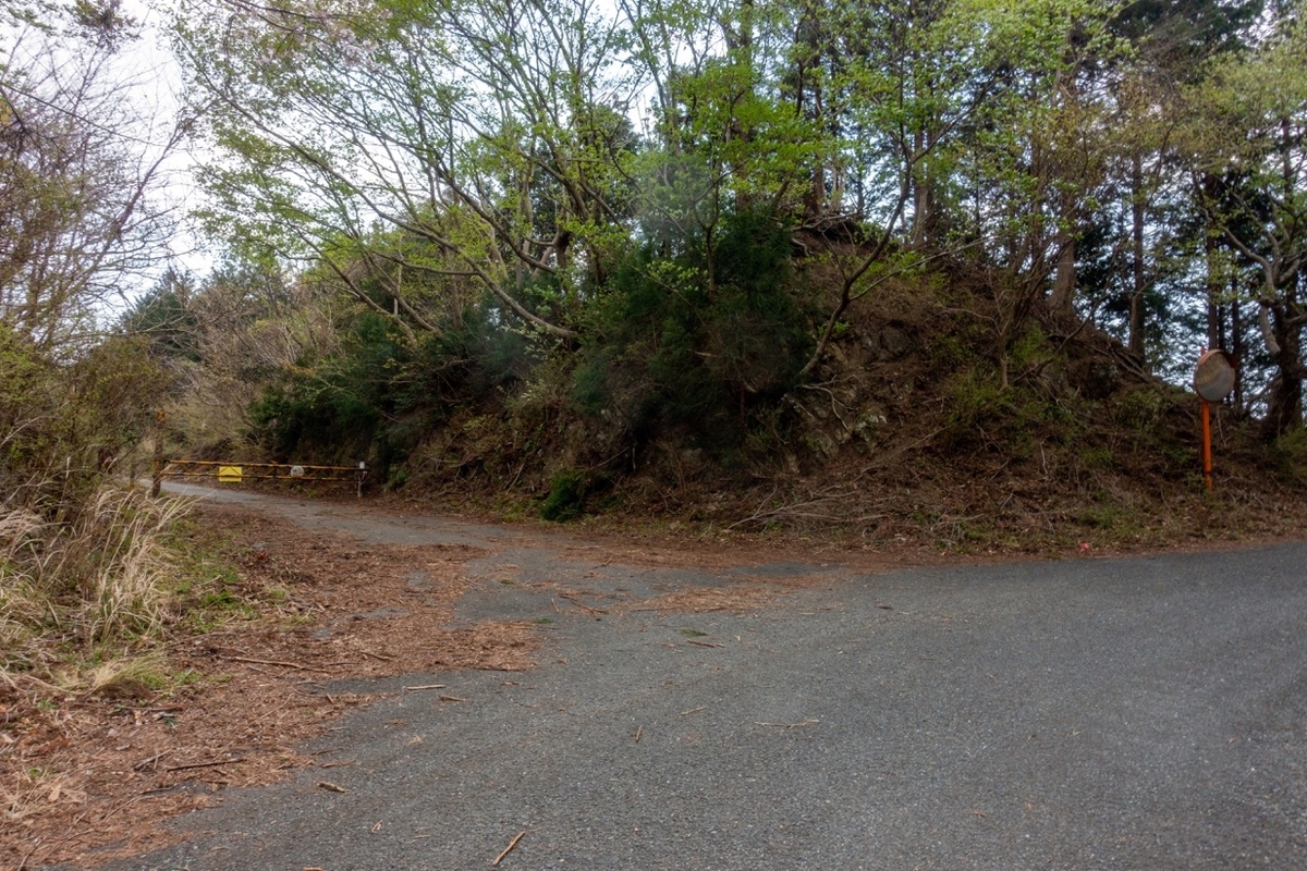 f:id:saetta0404:20200408203901j:plain f:id:saetta0404:20200408203901j:plain