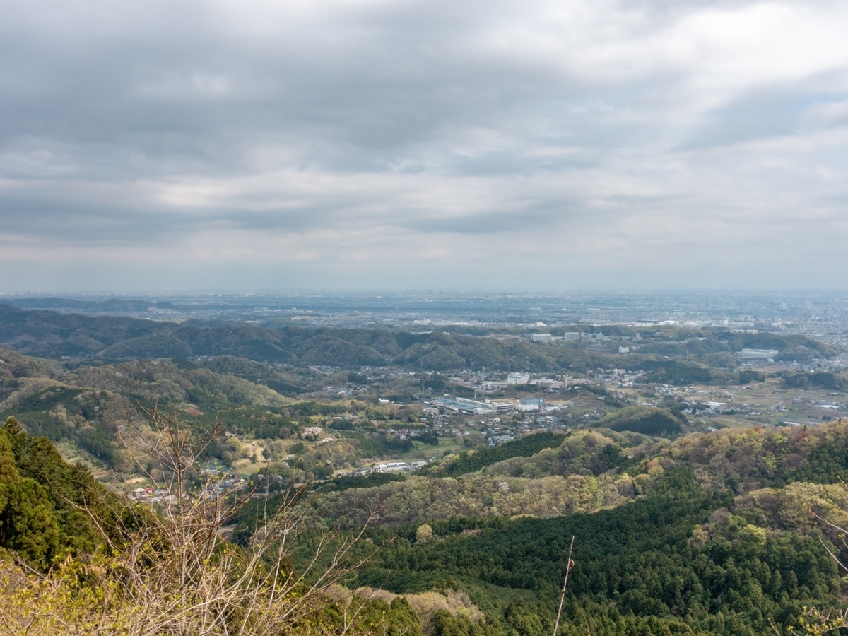 f:id:saetta0404:20200408203923j:plain f:id:saetta0404:20200408203923j:plain