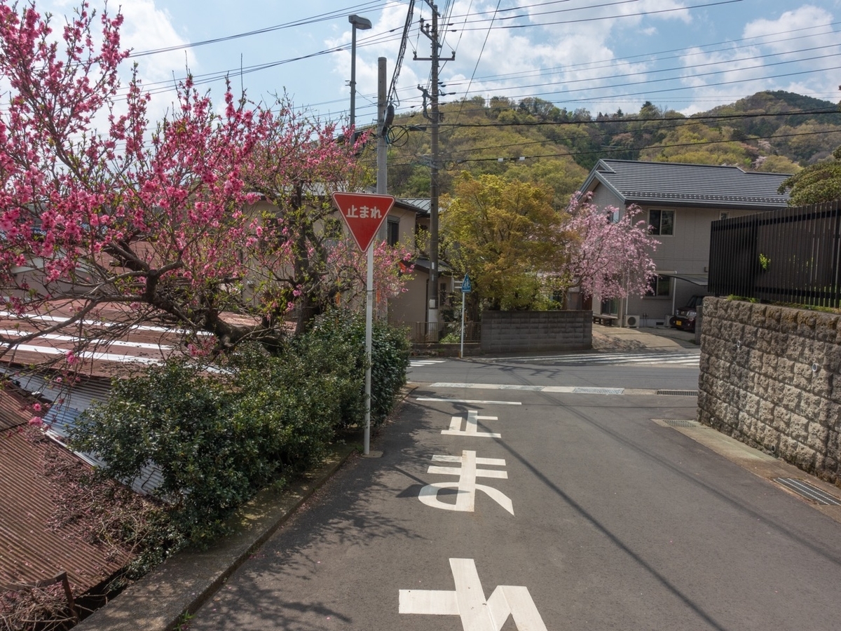 f:id:saetta0404:20200408204005j:plain f:id:saetta0404:20200408204005j:plain