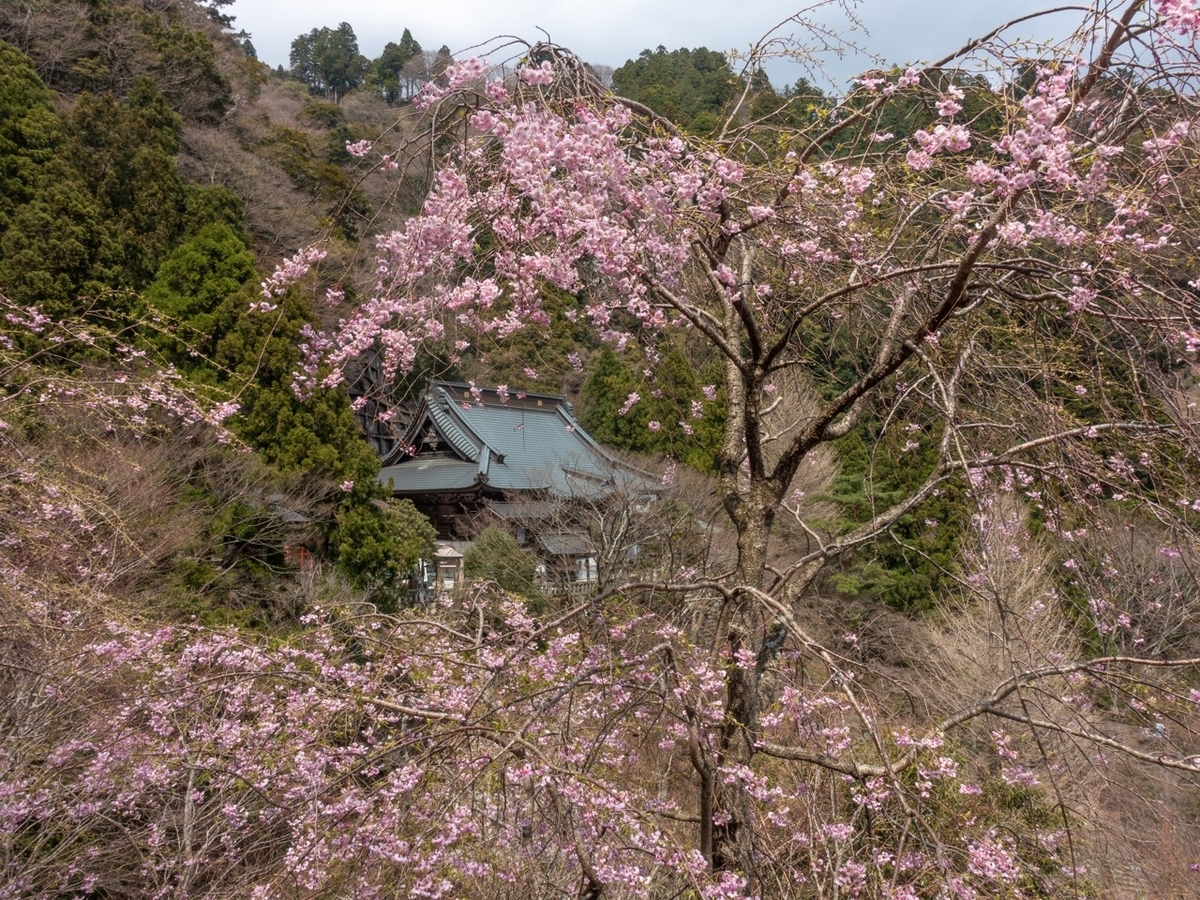 f:id:saetta0404:20200408204117j:plain f:id:saetta0404:20200408204117j:plain