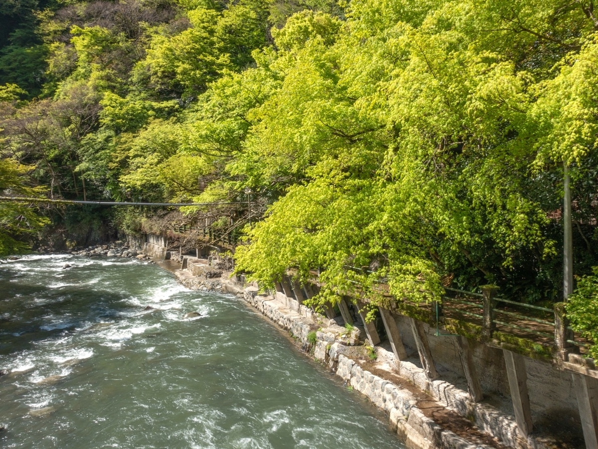 f:id:saetta0404:20200420212404j:plain