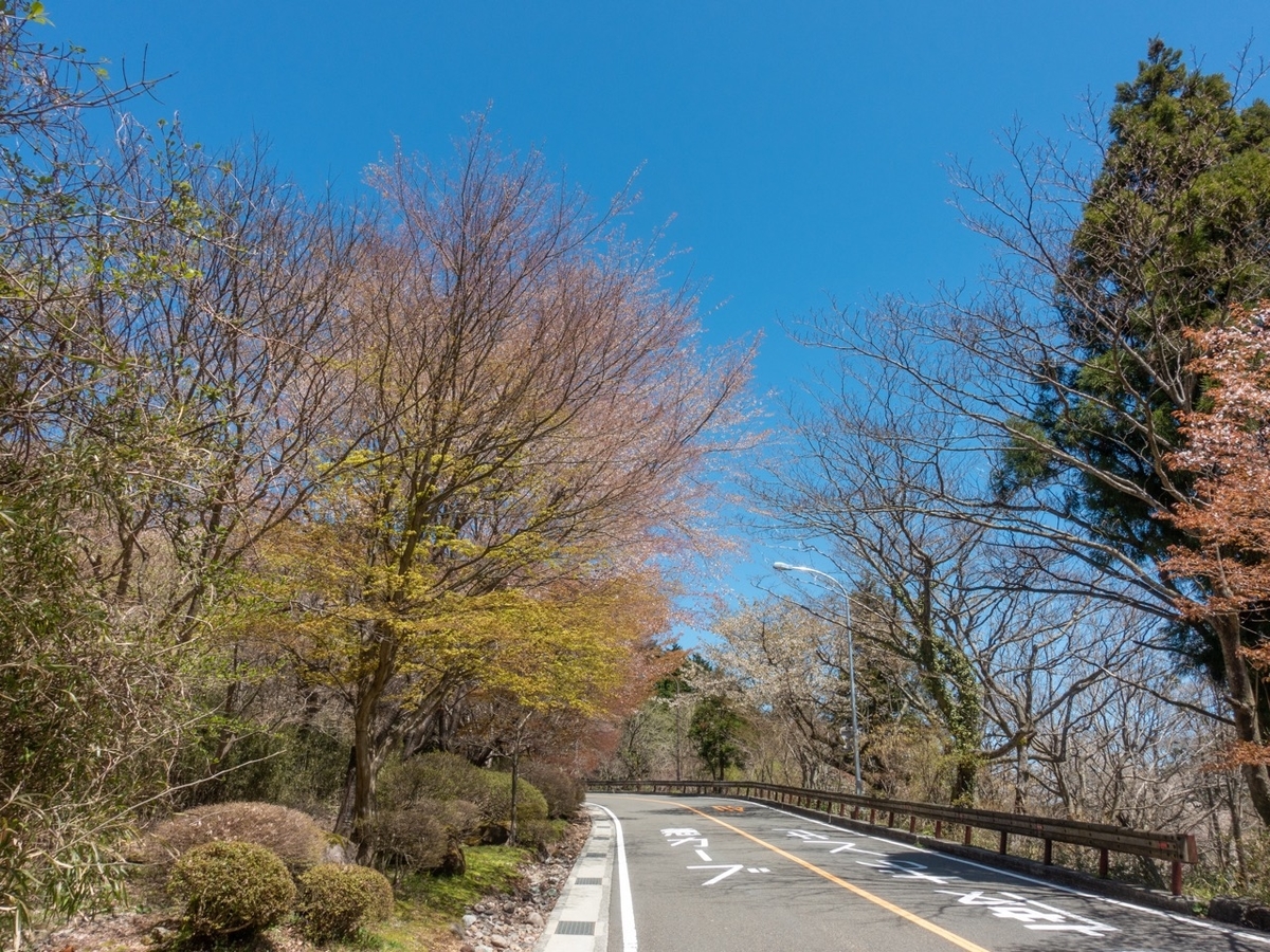 f:id:saetta0404:20200420212526j:plain