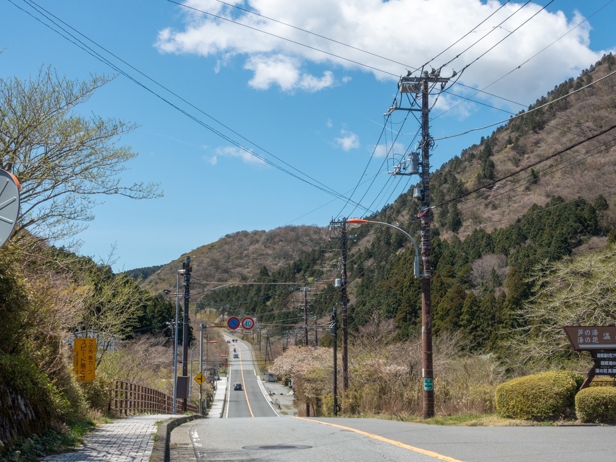 f:id:saetta0404:20200420212546j:plain