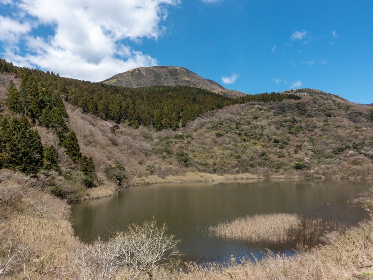 f:id:saetta0404:20200420212603j:plain