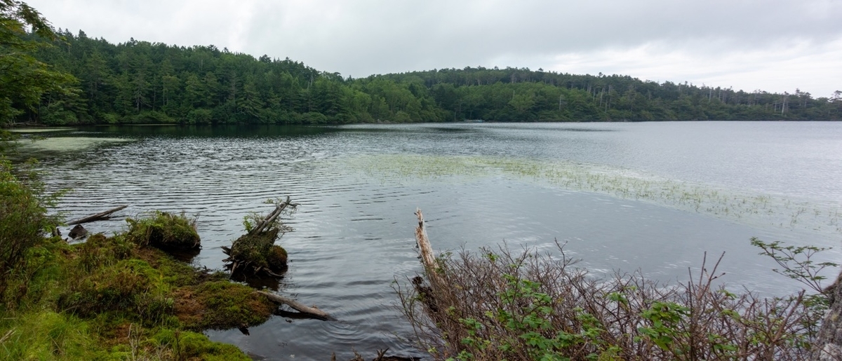 f:id:saetta0404:20200810084417j:plain f:id:saetta0404:20200810084417j:plain