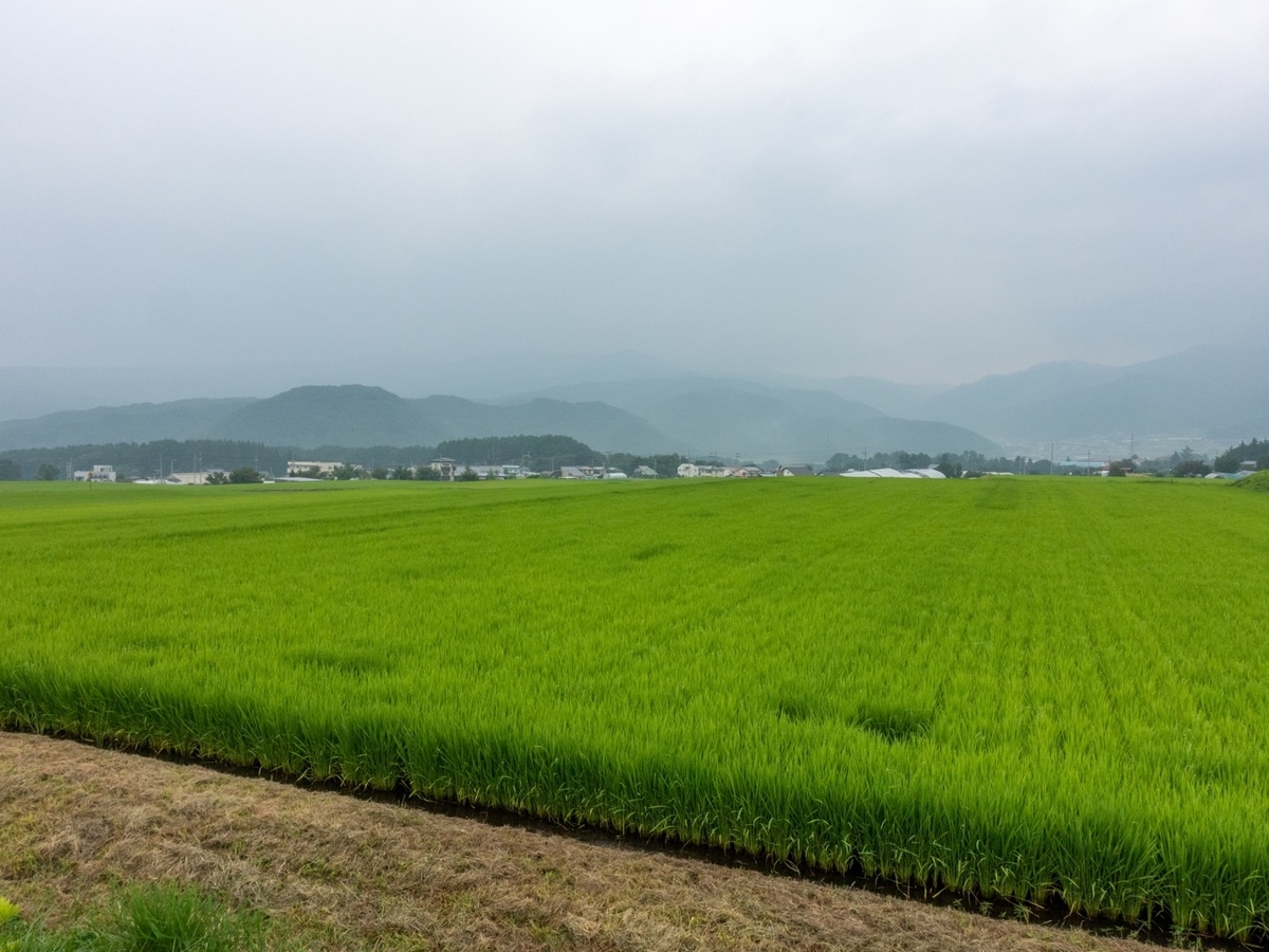 f:id:saetta0404:20200810084625j:plain f:id:saetta0404:20200810084625j:plain