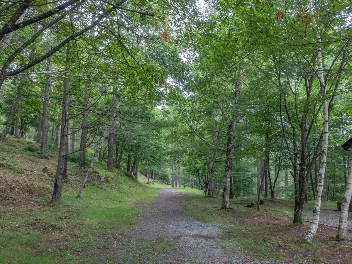 f:id:saetta0404:20200810085723j:plain f:id:saetta0404:20200810085723j:plain