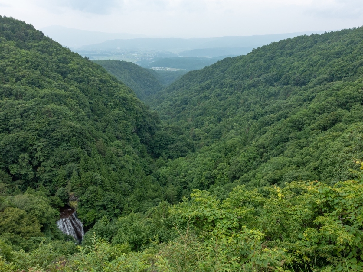 f:id:saetta0404:20200810085813j:plain f:id:saetta0404:20200810085813j:plain