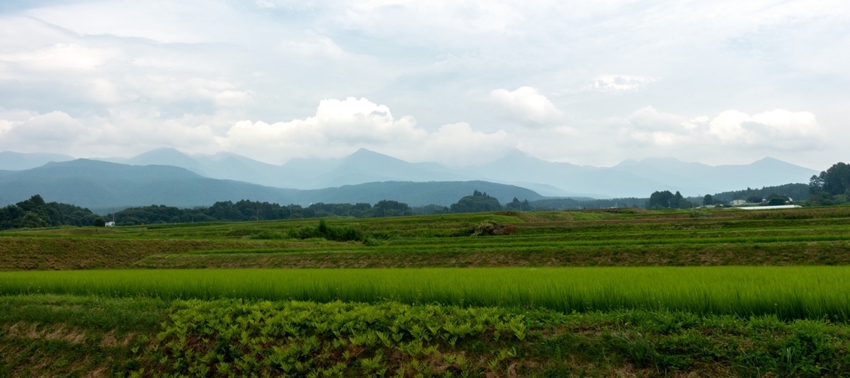 f:id:saetta0404:20200810085837j:plain f:id:saetta0404:20200810085837j:plain