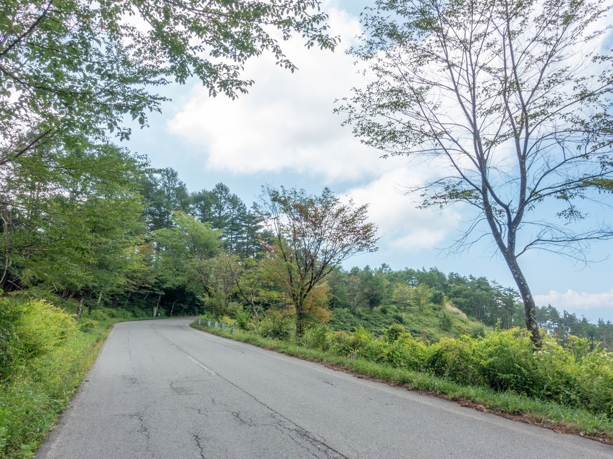 f:id:saetta0404:20200830185136j:plain