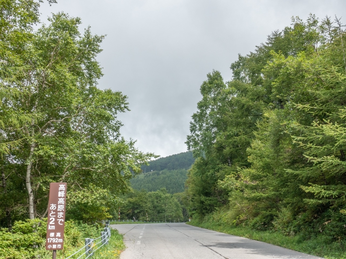 f:id:saetta0404:20200830185254j:plain