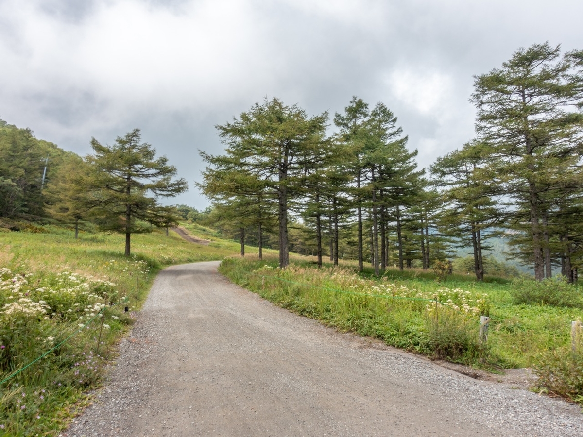 f:id:saetta0404:20200830185520j:plain