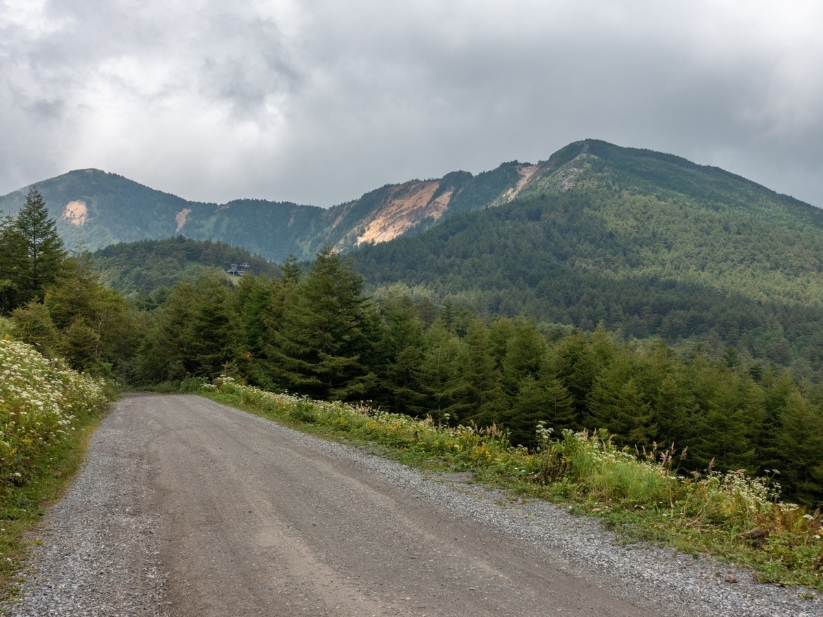 f:id:saetta0404:20200830185549j:plain