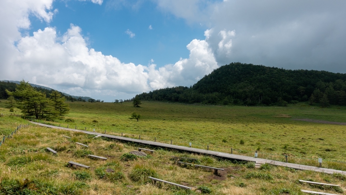 f:id:saetta0404:20200830190106j:plain