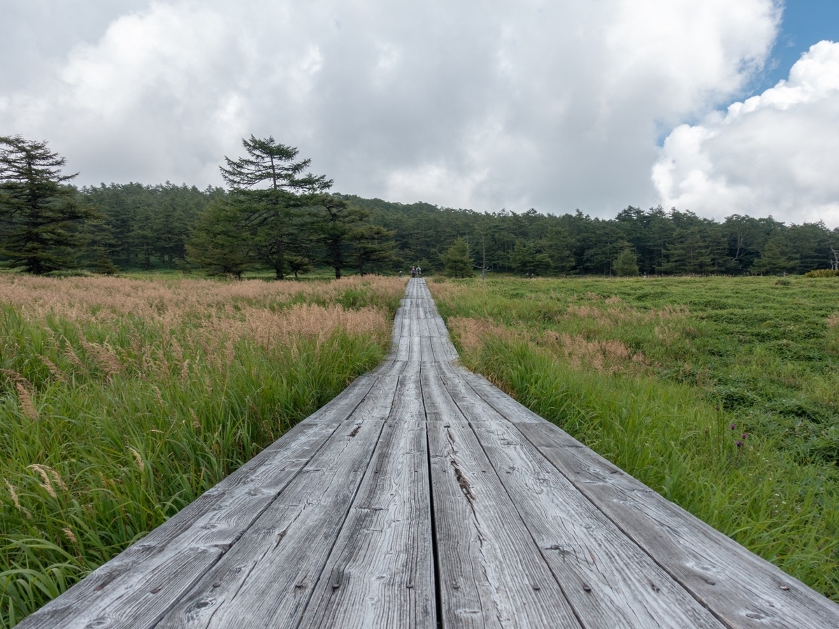 f:id:saetta0404:20200830190140j:plain