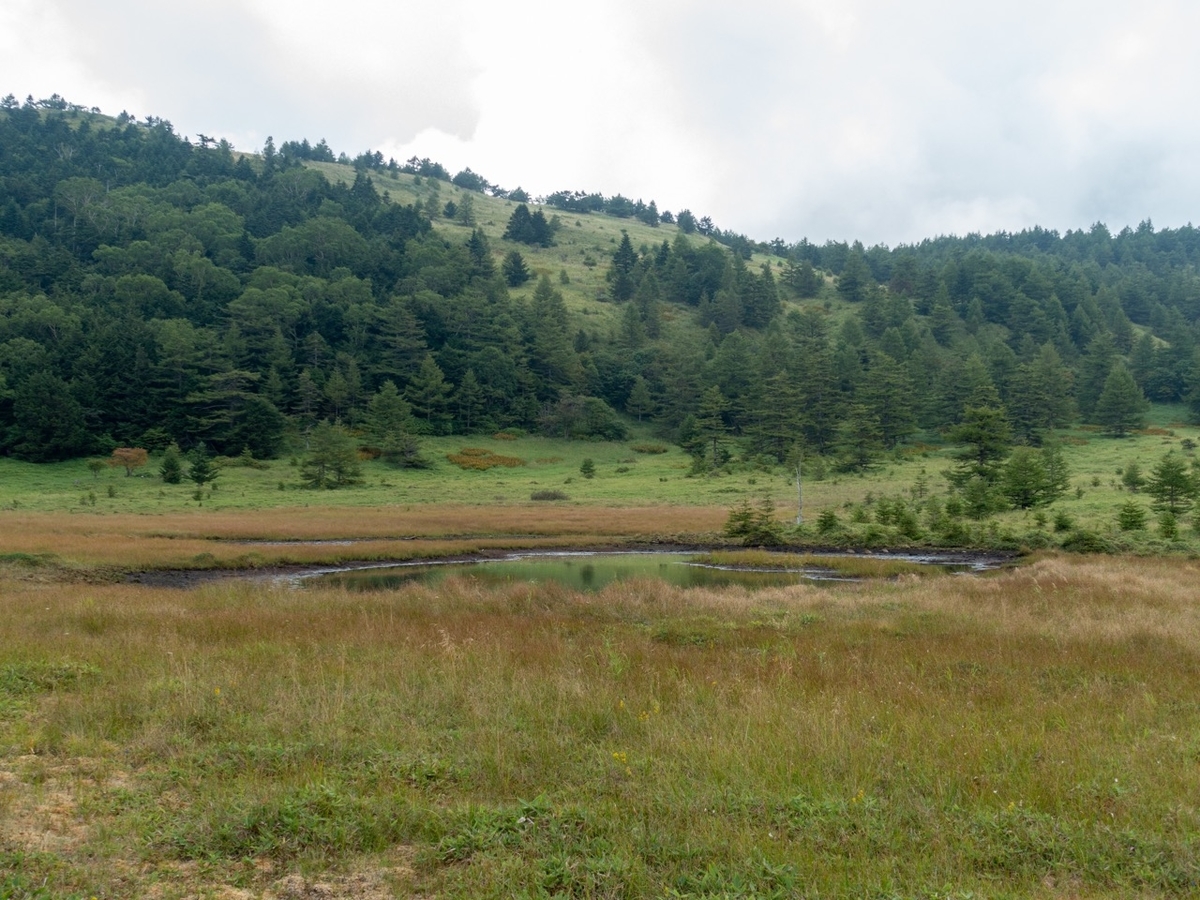 f:id:saetta0404:20200830190248j:plain