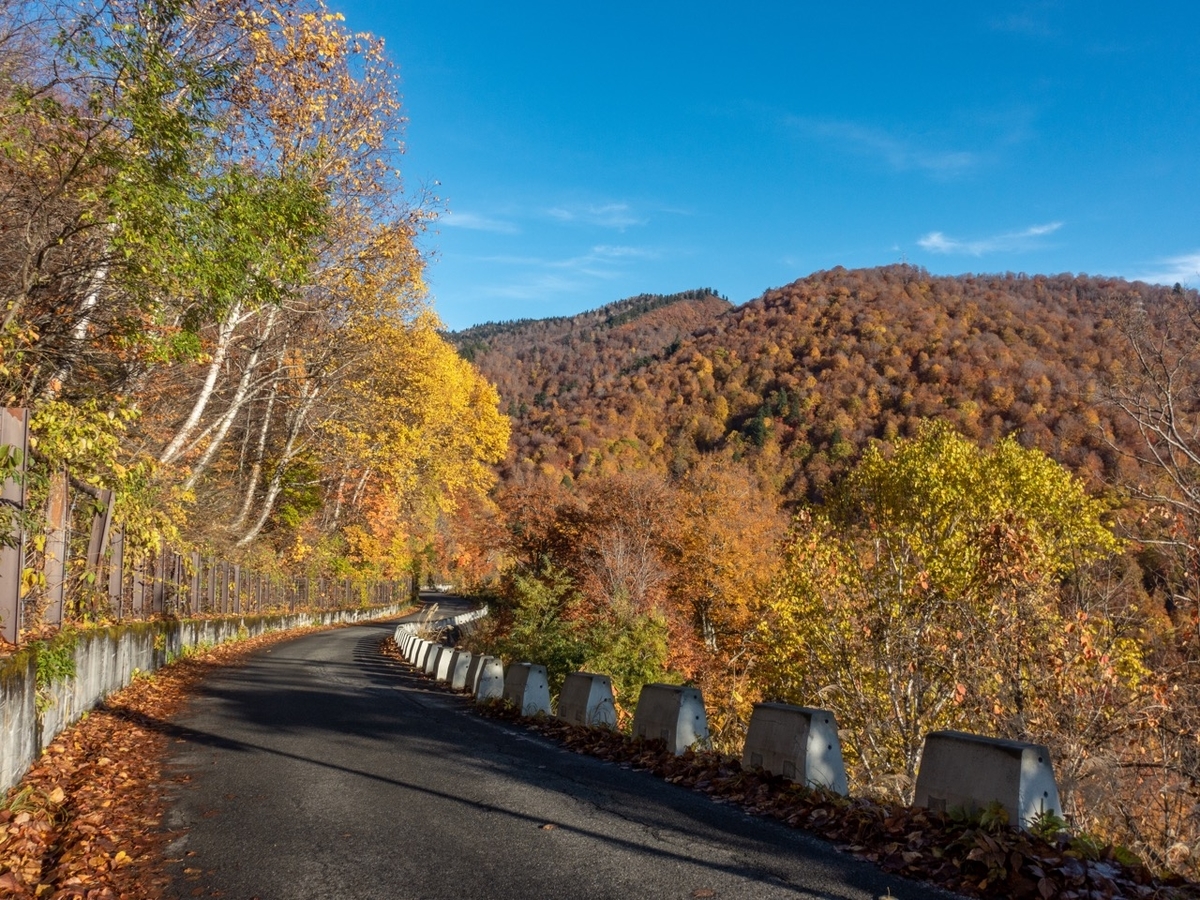 f:id:saetta0404:20201029213817j:plain f:id:saetta0404:20201029213817j:plain