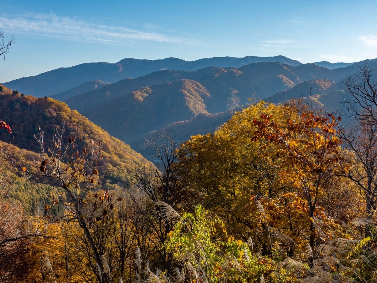 f:id:saetta0404:20201029213838j:plain f:id:saetta0404:20201029213838j:plain