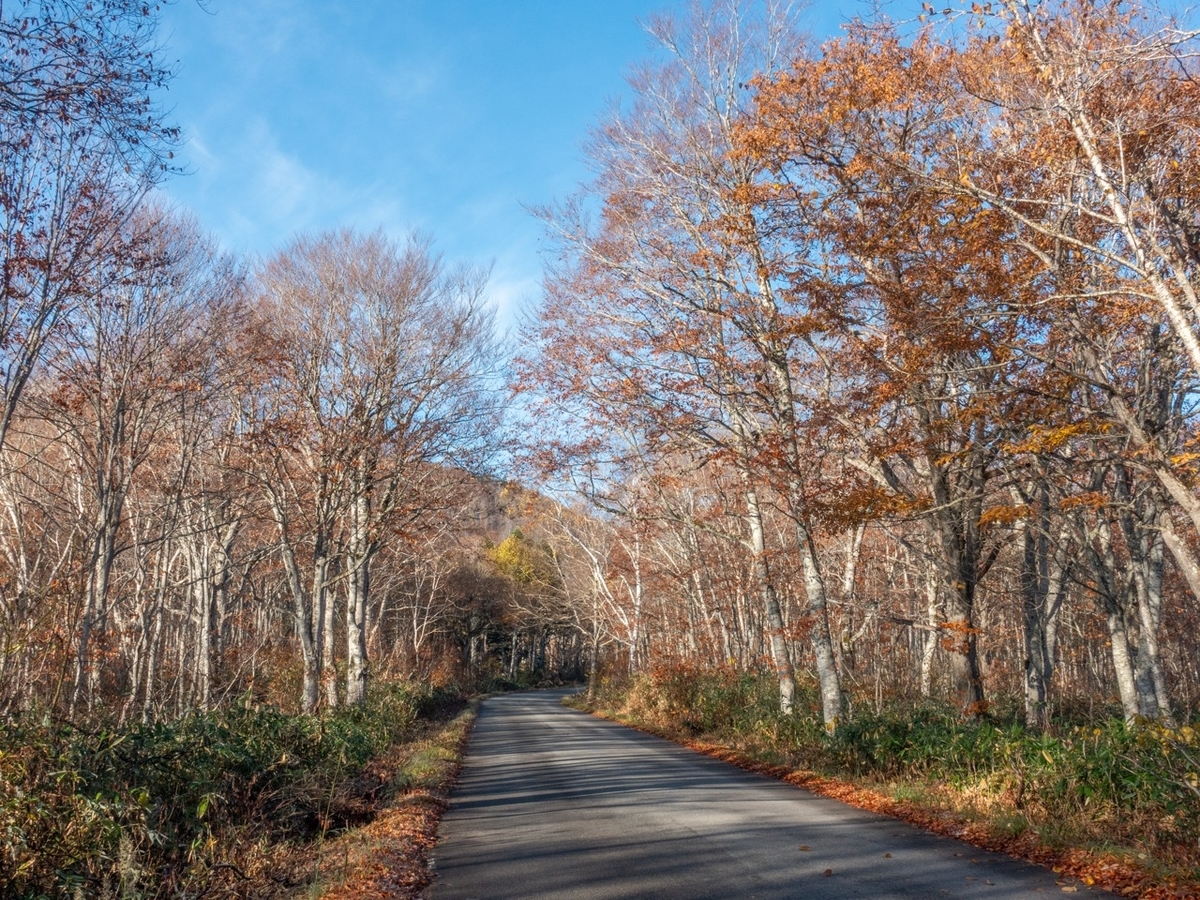 f:id:saetta0404:20201029213859j:plain f:id:saetta0404:20201029213859j:plain