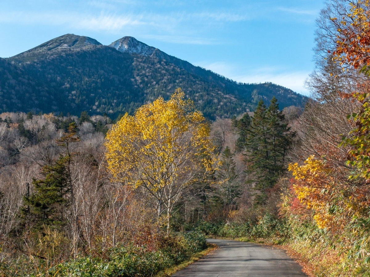 f:id:saetta0404:20201029214003j:plain f:id:saetta0404:20201029214003j:plain