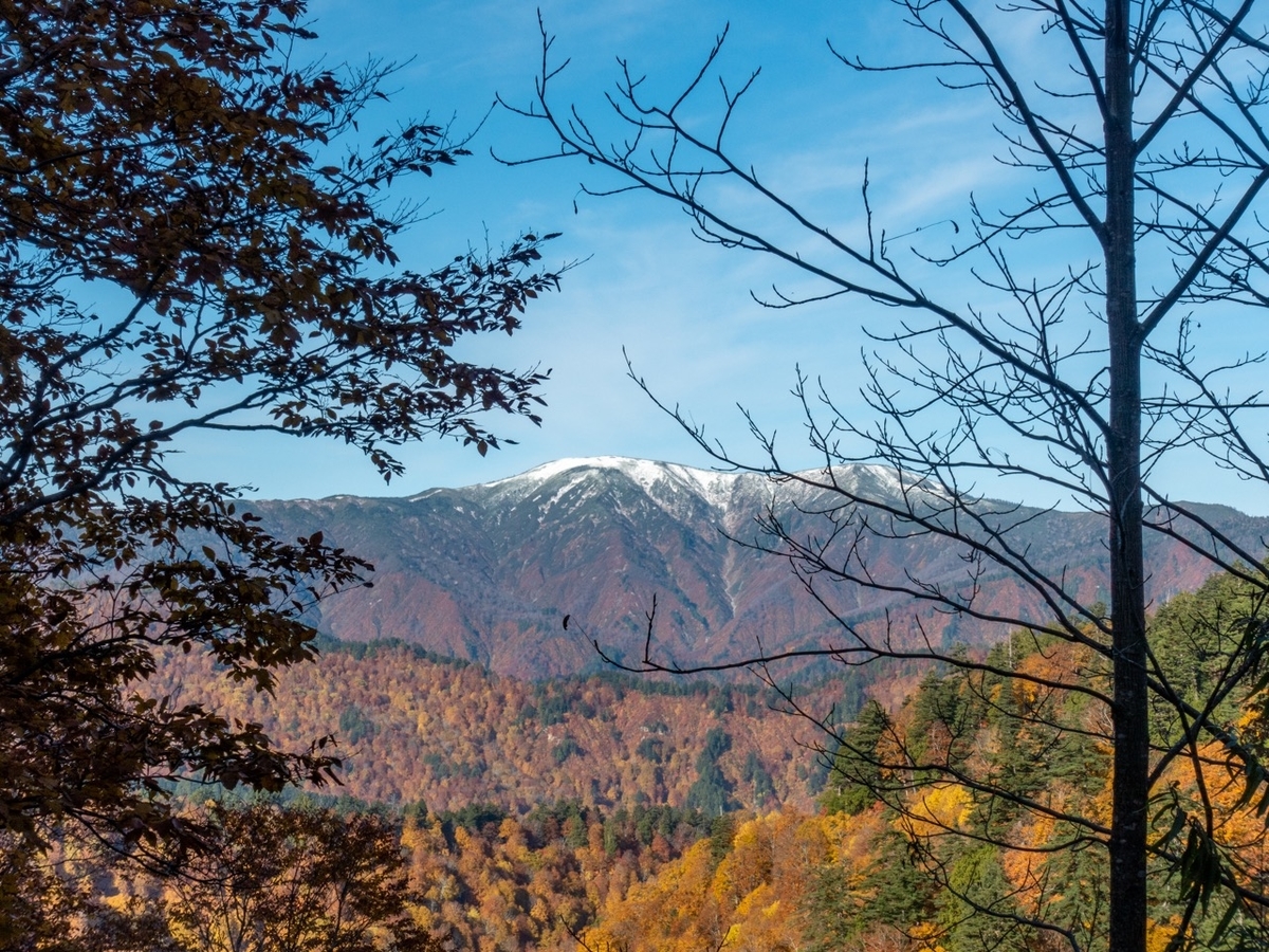 f:id:saetta0404:20201029214029j:plain f:id:saetta0404:20201029214029j:plain