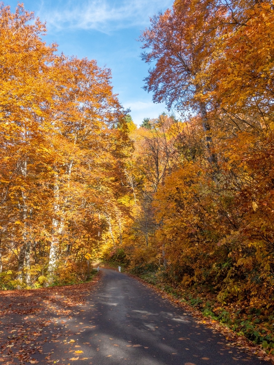 f:id:saetta0404:20201029214137j:plain f:id:saetta0404:20201029214137j:plain