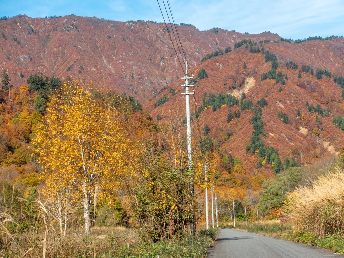 f:id:saetta0404:20201029214203j:plain f:id:saetta0404:20201029214203j:plain