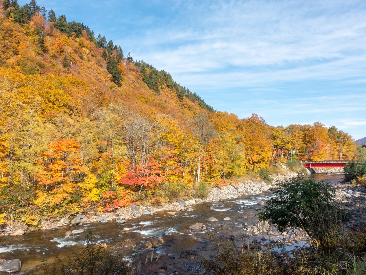 f:id:saetta0404:20201029214227j:plain f:id:saetta0404:20201029214227j:plain