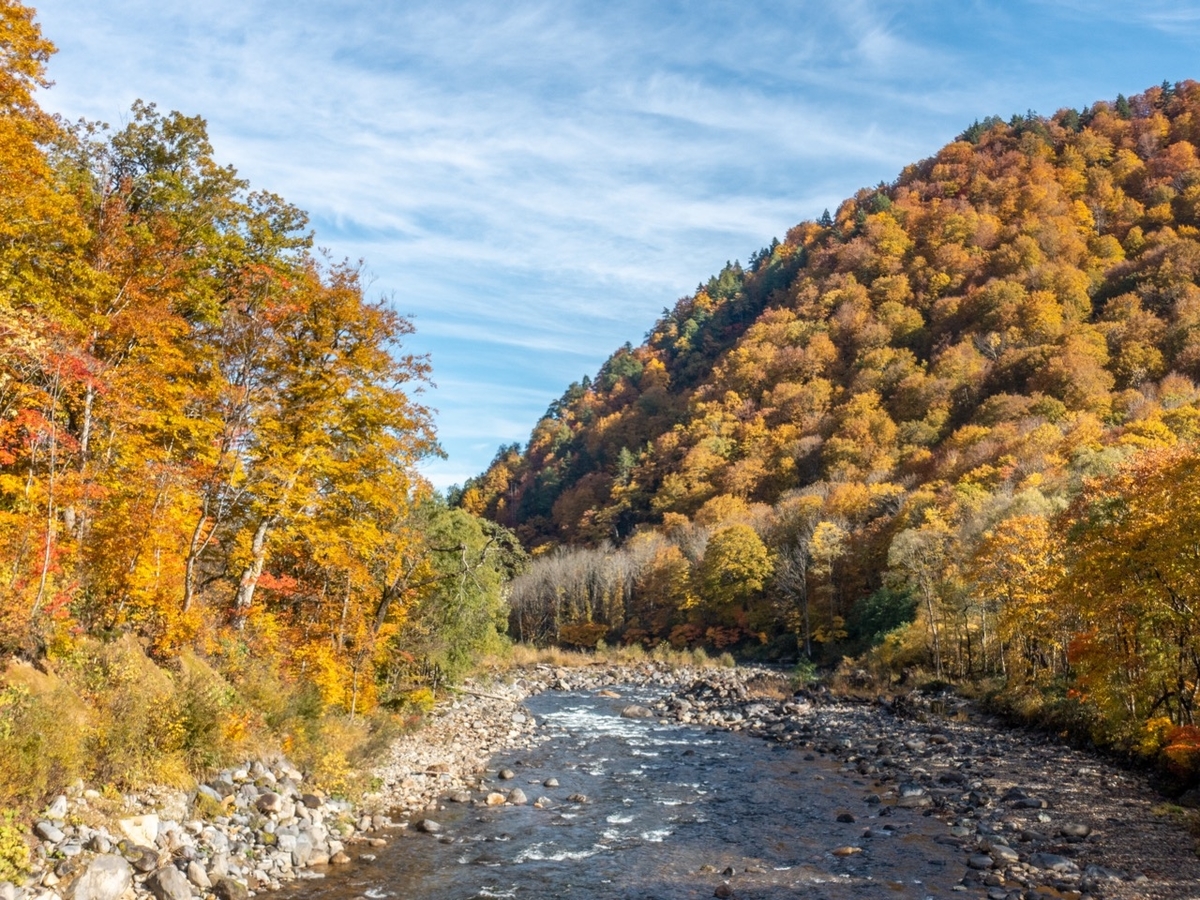 f:id:saetta0404:20201029214324j:plain f:id:saetta0404:20201029214324j:plain