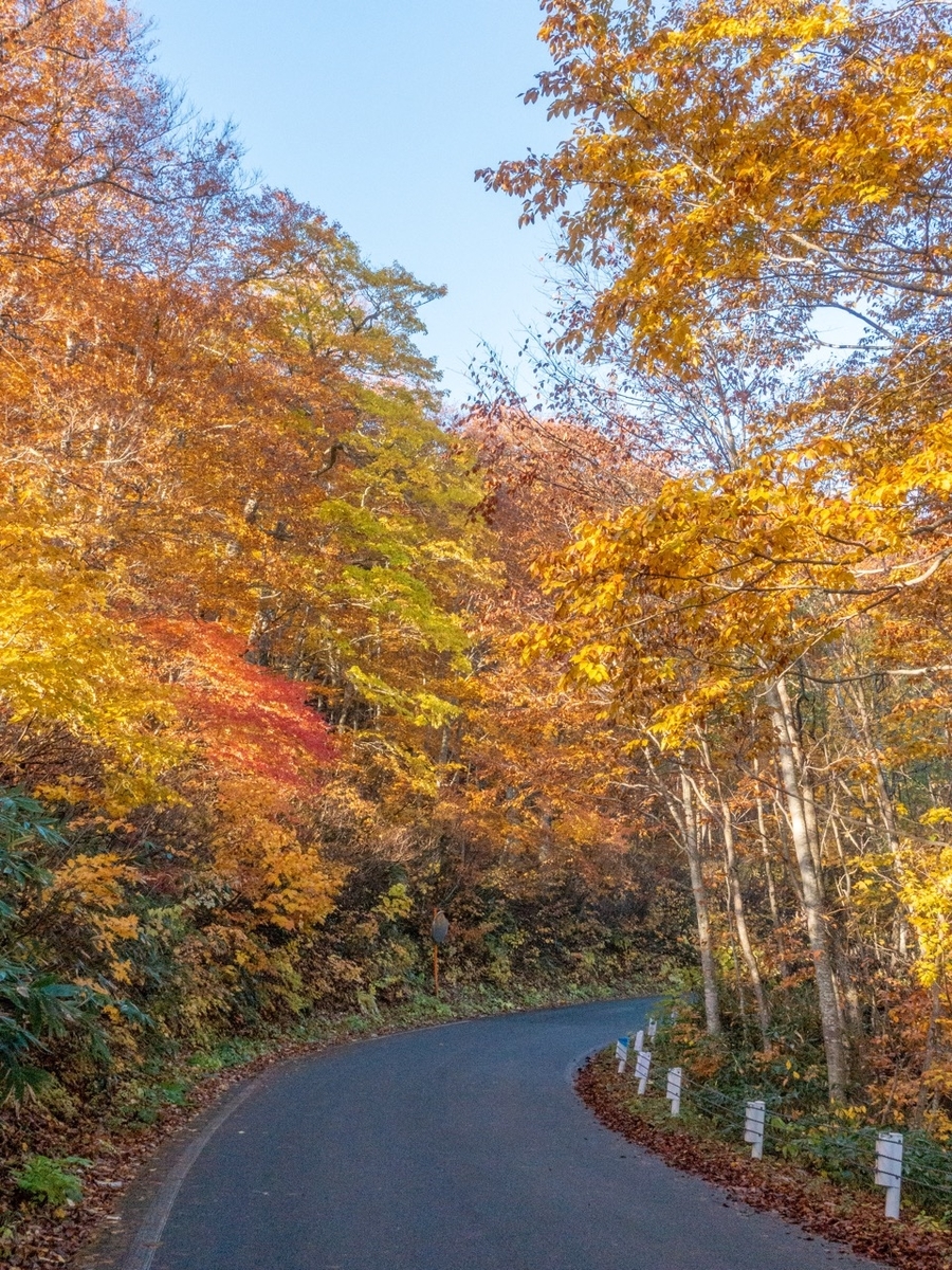 f:id:saetta0404:20201031165711j:plain f:id:saetta0404:20201031165711j:plain