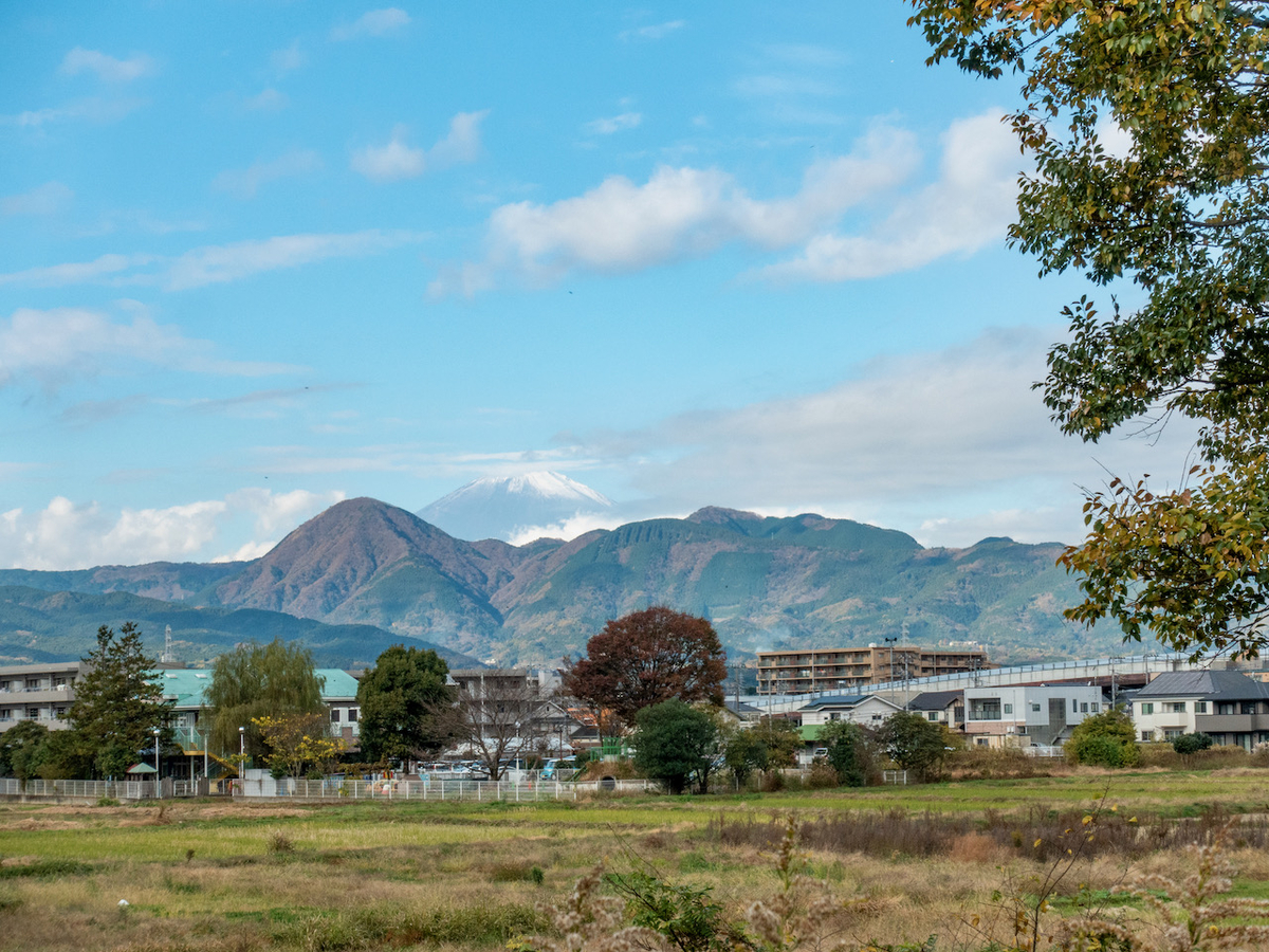 f:id:saetta0404:20201202214956j:plain