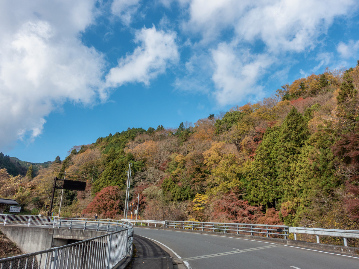 f:id:saetta0404:20201202215117j:plain