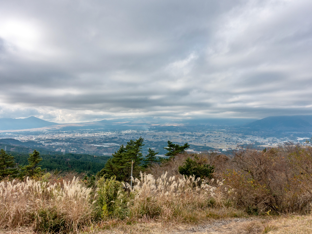 f:id:saetta0404:20201202215222j:plain