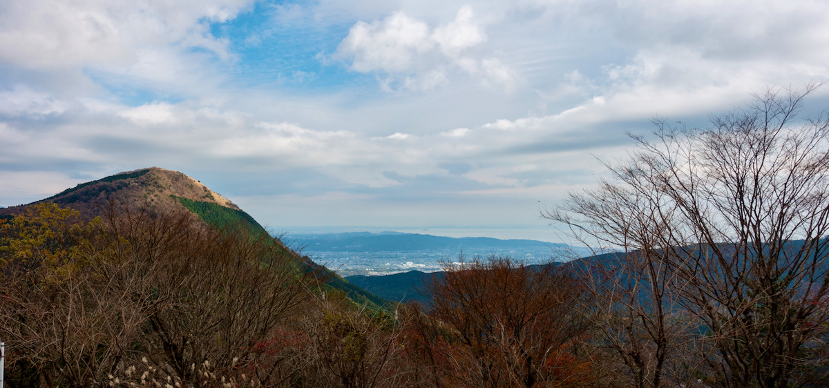 f:id:saetta0404:20201202215244j:plain