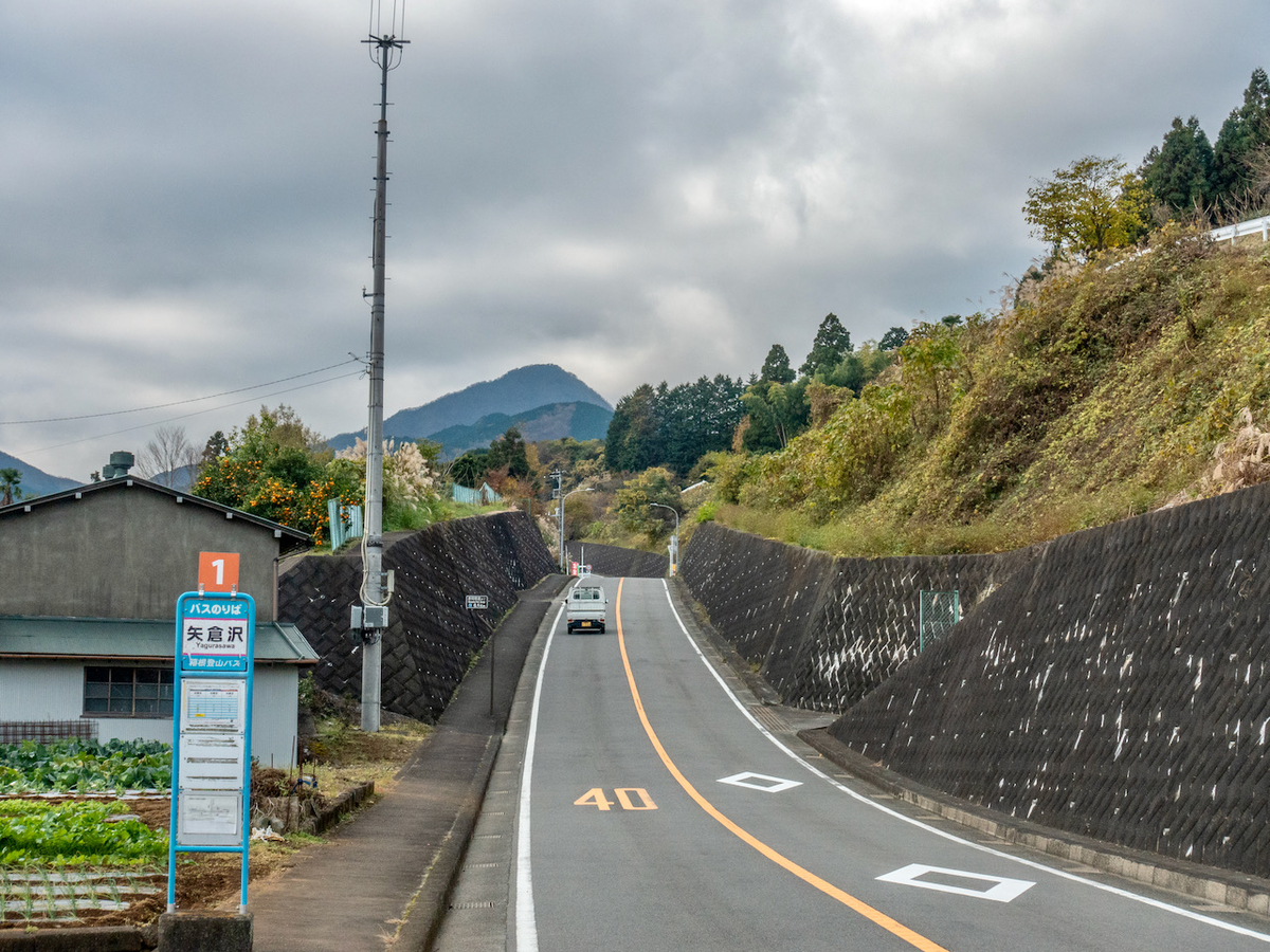 f:id:saetta0404:20201202215754j:plain