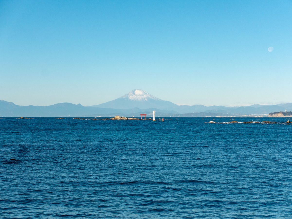 f:id:saetta0404:20210111082949j:plain